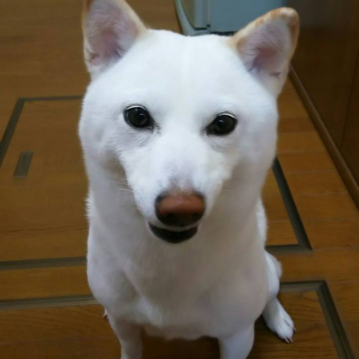 3fc14013 8d60 4aef bf4e 6c69740185a8