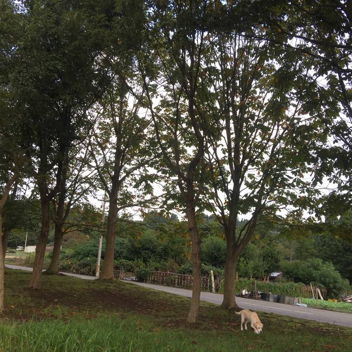 3fc32625 e436 4219 a267 07b59d0dd7e0