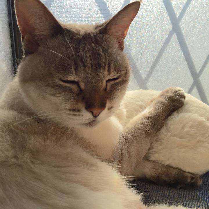 3fc37e1d fa58 429c 8b3b 2c4dac5f4f50