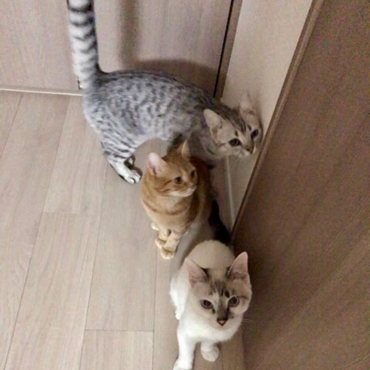 3fc3a968 f0a8 4d9c a49b 13c51805f382