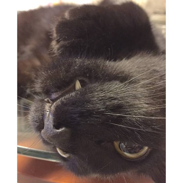 3fc41bd5 be20 4a1e be22 b46e65b67546