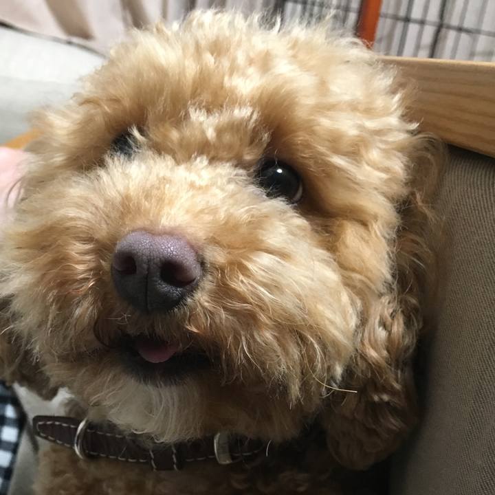 3fc48fb2 a537 4118 a96d 58381f5a46c7