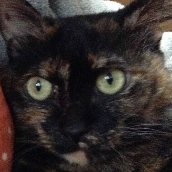 3fc4adfa fa5a 4eb5 bfb4 527dae35a39b