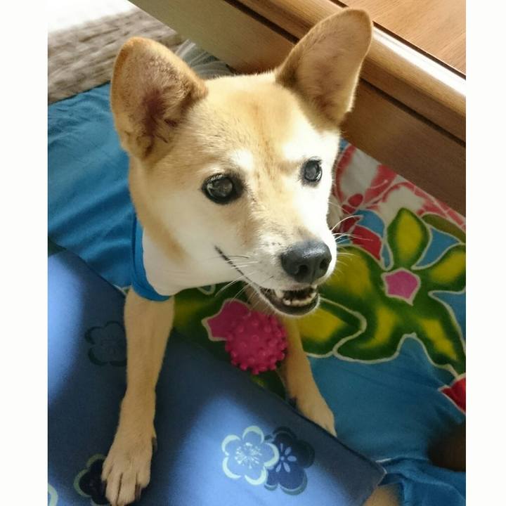 3fc51d3f 047d 42ff abc7 2e479c8f9866