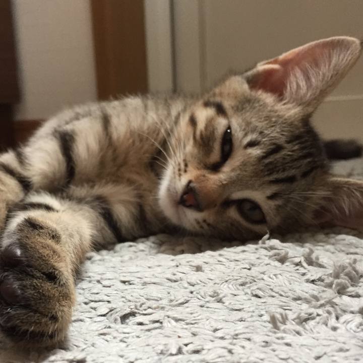 3fc57067 0d15 4d76 ab42 fd0ff38f72a2