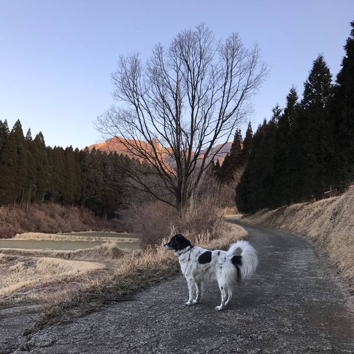 3fc64e09 6b8a 4d93 9f14 8de399ee4398