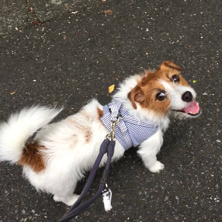 3fc79e0c 06d6 4fd9 844a 448bab4be750