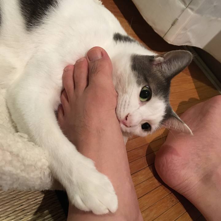 3fc7d45f 1f5c 4886 b2c0 9b9e64ab7f03