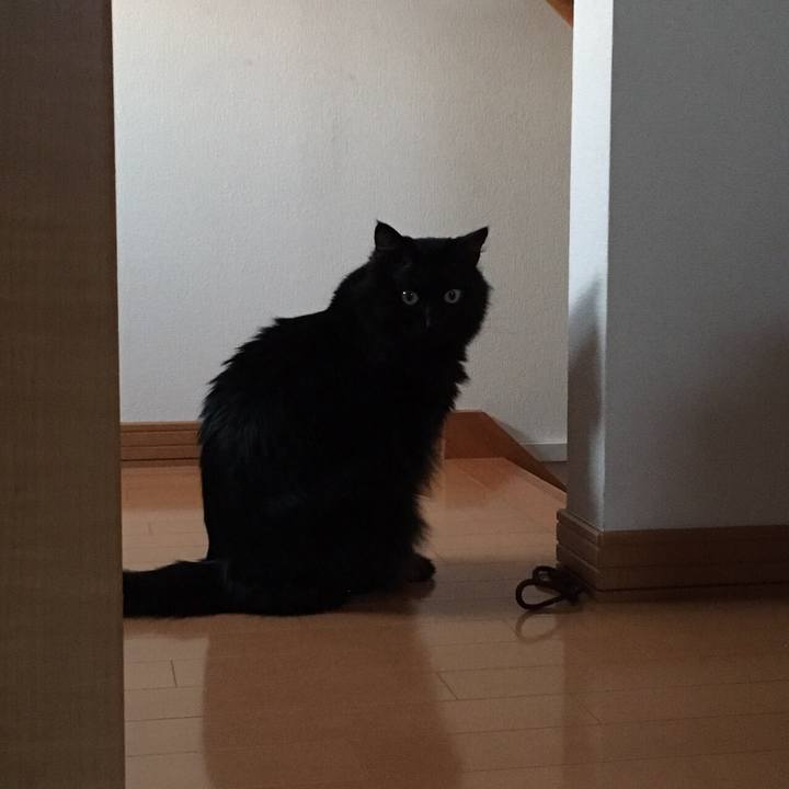 3fc83b93 8681 4c78 b10e 7f1a8cda53e4