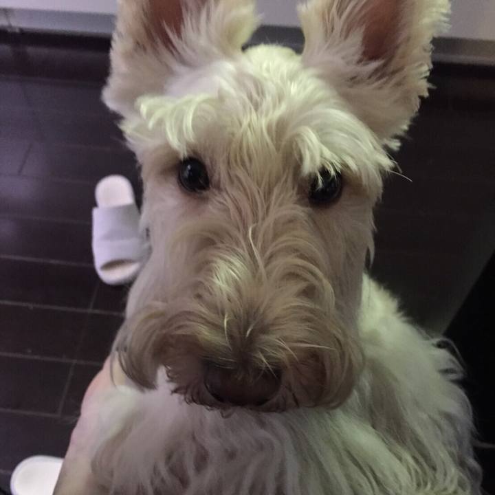 3fc9ccb8 b930 449b 9367 e1b5e99324dd