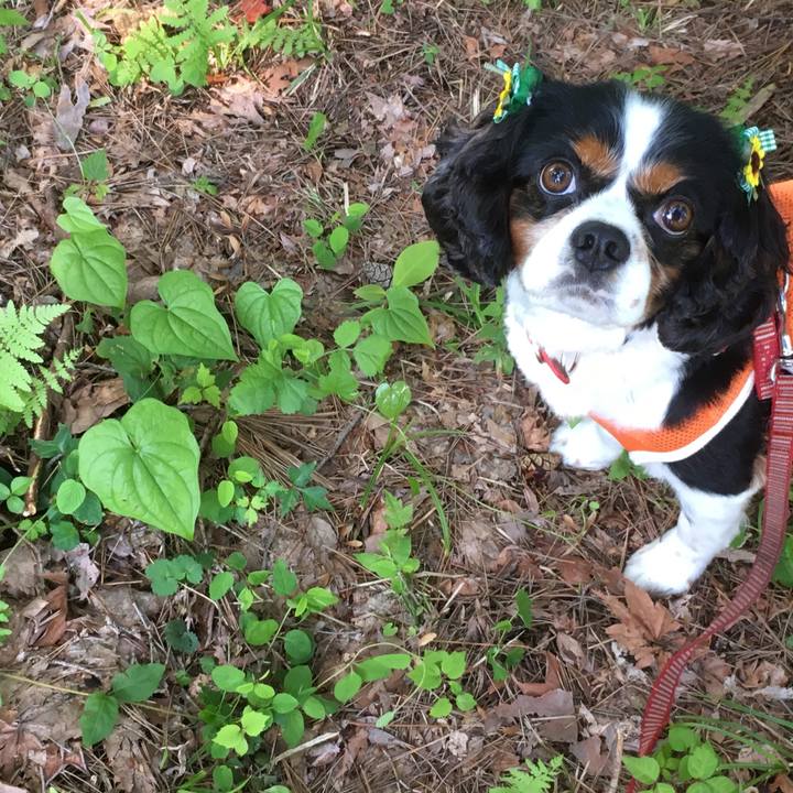 3fca2ad4 96dd 4dbf 850f 8b605a7fd7fb