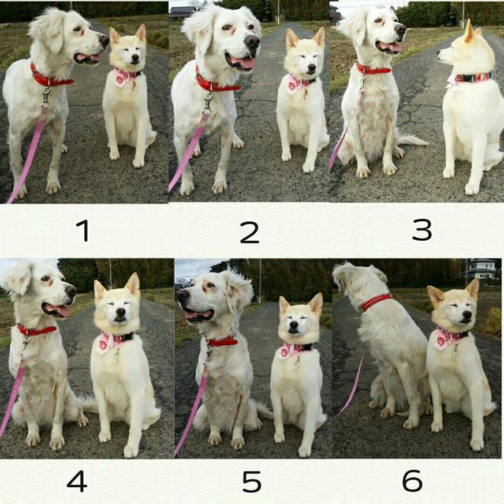 3fca6c4a 5f3a 48eb acc7 a489543a3463