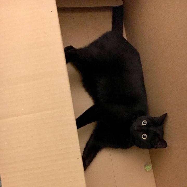 3fca9b70 6325 473f 9651 f4d54ea7b320