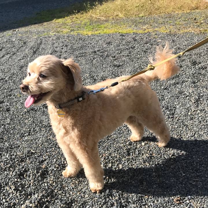 3fcaf40a 3e9c 4ec2 82ed 1eee907db28b