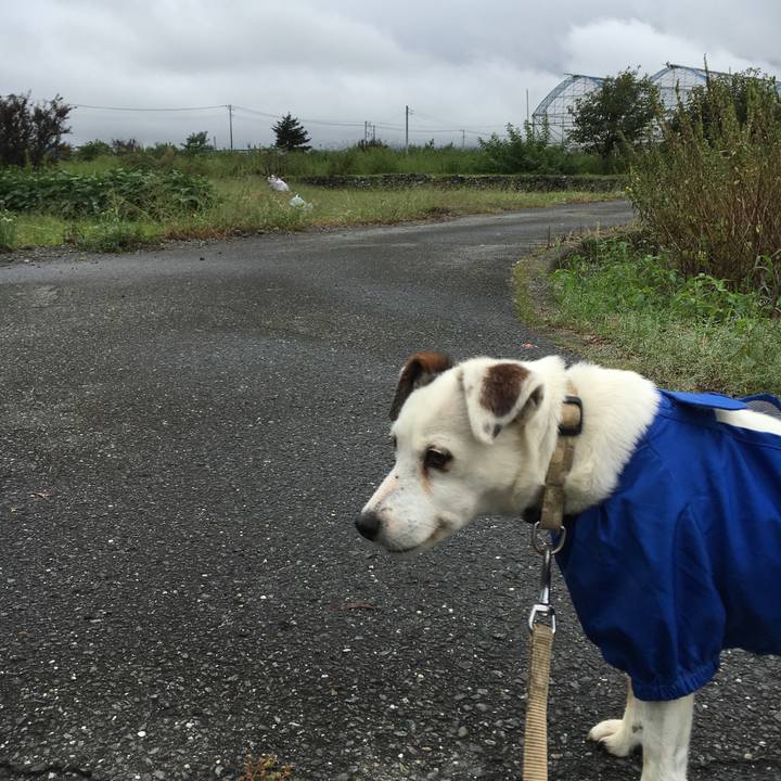 3fcbaaa4 9ae1 4a3a 8ff9 e0531b6af5a9