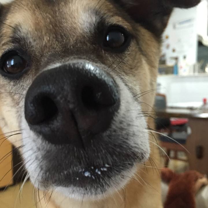 3fcbd1cc d2a8 4a75 b220 2ff7ddc338f1