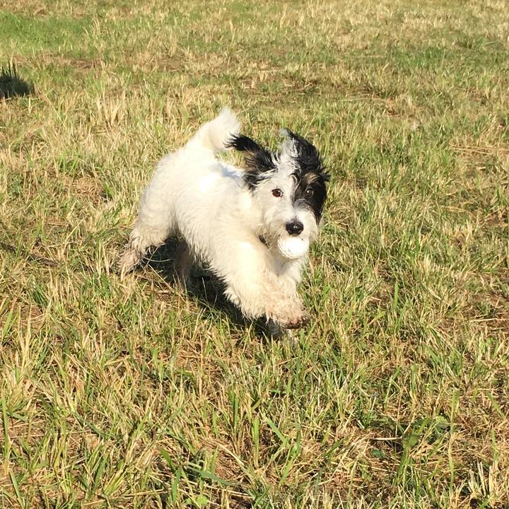 3fcbf93a 2d1e 4494 a7a7 015ade5bf053