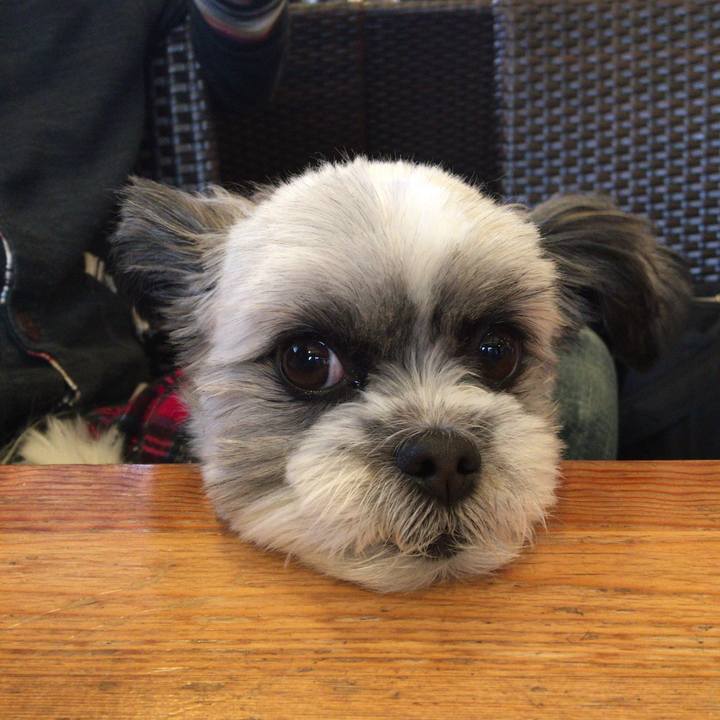 3fccbcb8 98d0 4ba8 9bd0 f5a7ce812cdc