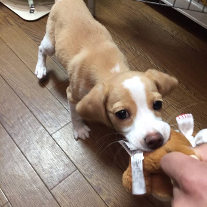 3fcce208 fb6f 4e5c 8d8a ea7d5390fd98