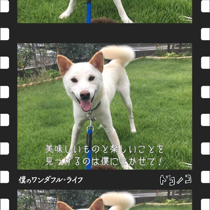 3fccef24 9d2e 4e43 8330 f52d73efc264