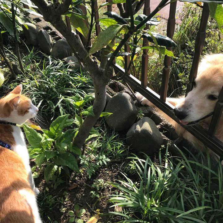 3fce1a76 c9c7 4dd1 b807 f4255c08bd1e