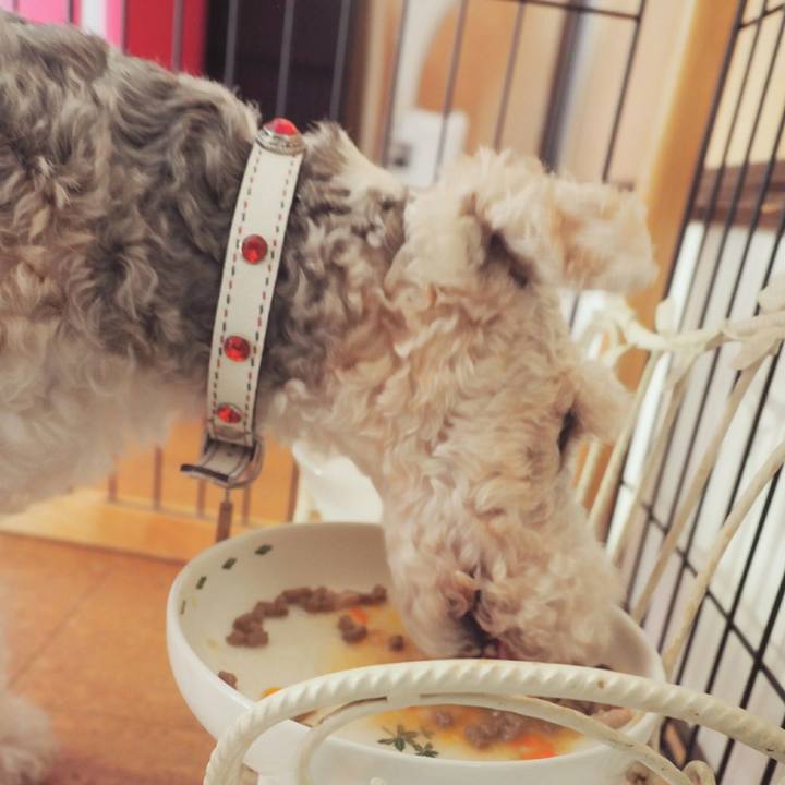 3fcea896 c0b2 44e3 94ca 535b142f65a0