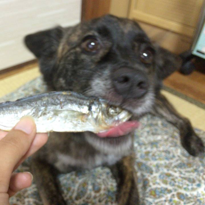 3fced74e 8608 481b bd3a 531cd0d3c28b