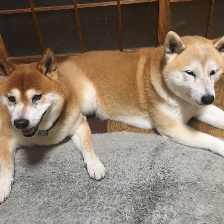 3fcef011 6f3e 4a6c bd1a 16b70b3fd212