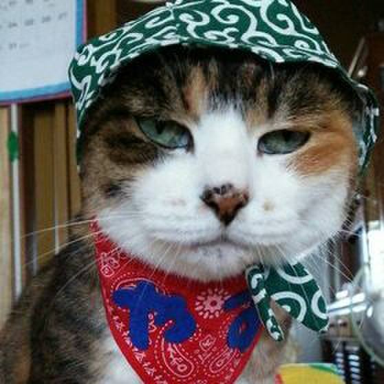 3fcf5d26 75ac 4b04 9d90 460177768750