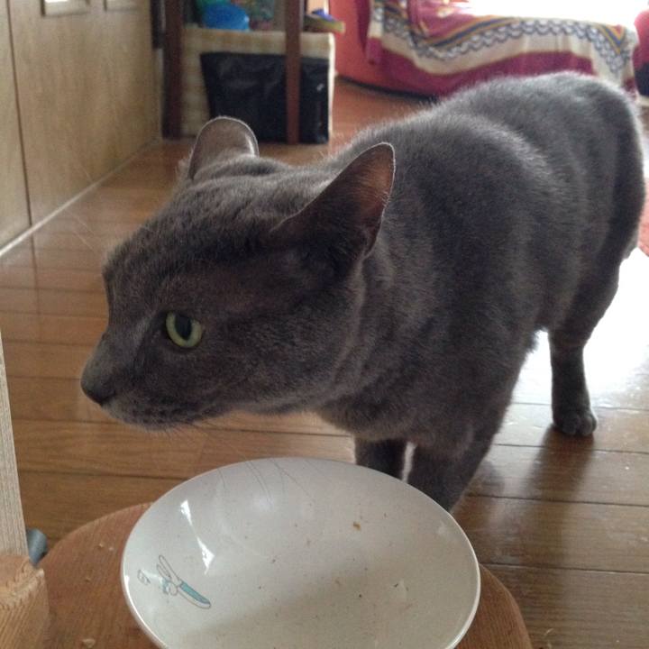 3fcf66c3 092f 4ed0 8b6f d35e54358a6d