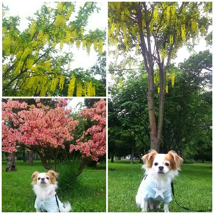 3fd056f2 ccd6 4eb6 95b5 d434e947cbae