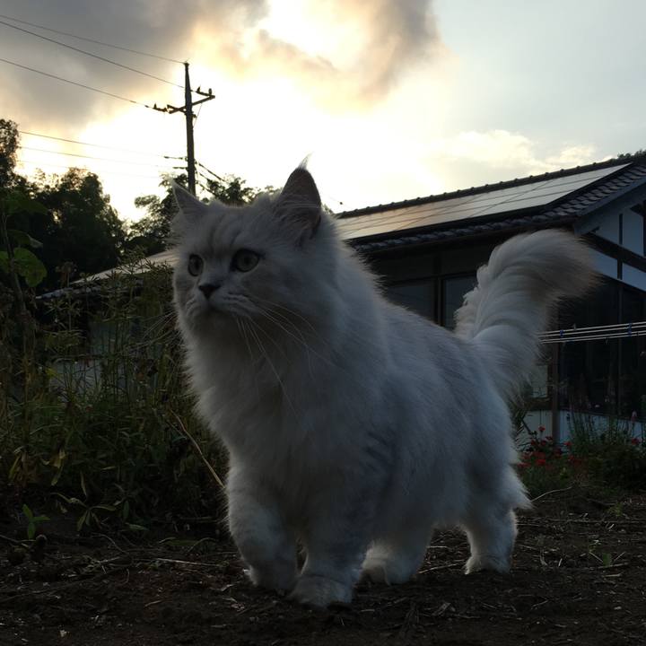 3fd06530 487e 43f2 af33 acdd8e5a6f95