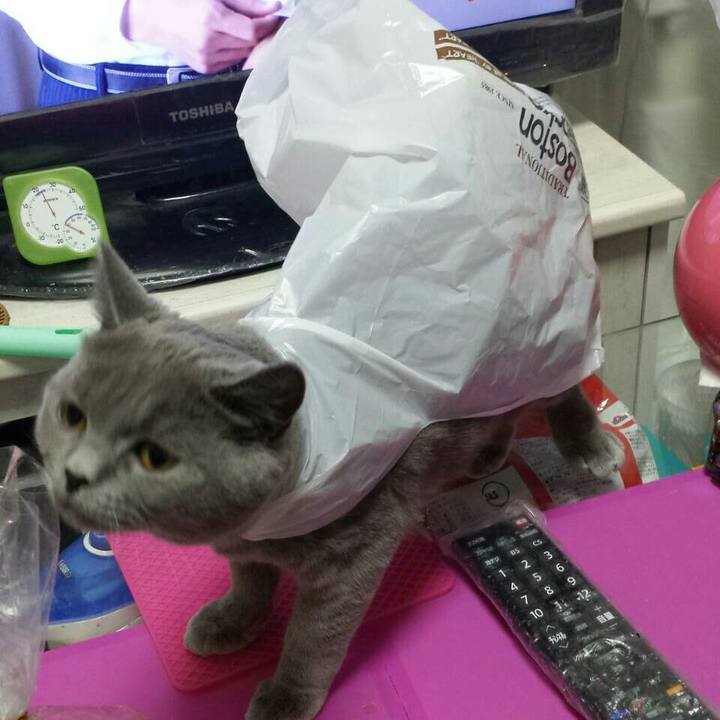 3fd11eb6 f68b 4b90 8c39 797c25766fa2