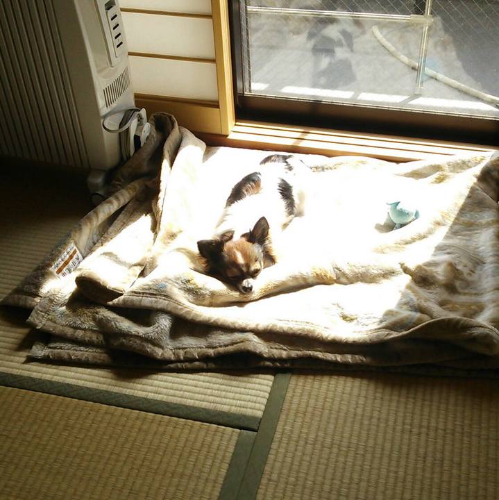 3fd1621f 4124 4d75 8fdb d6425a7aafed