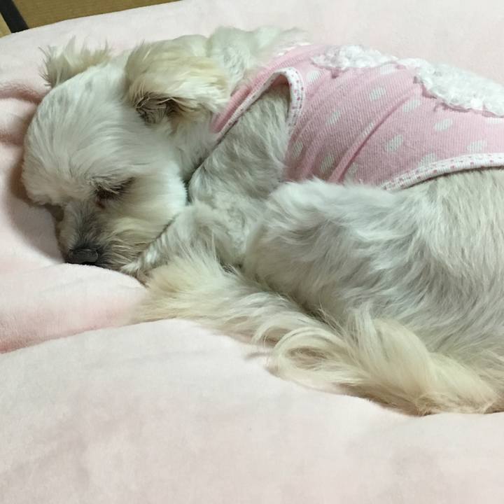 3fd1f4c3 96c5 41e6 997b 6c357587af67