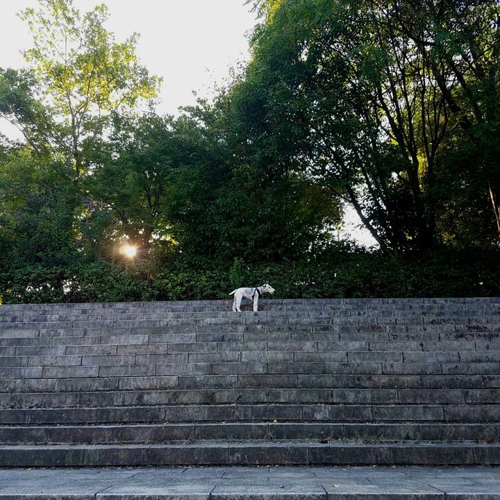 3fd2a3f0 3997 42bc ad0d 557b8c63ee59