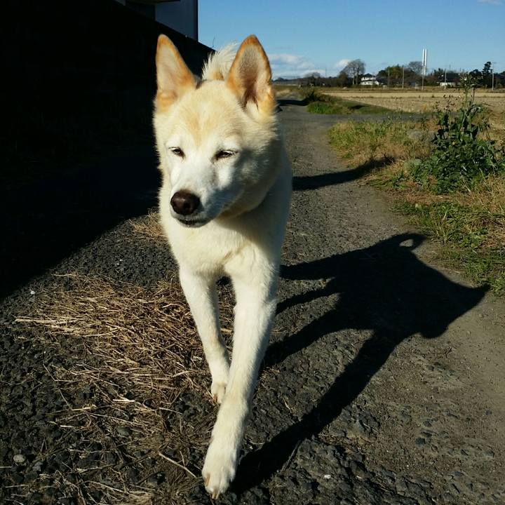 3fd35f1e 8875 41ce bd33 1c004b067c12