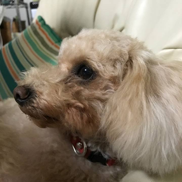 3fd3e2d4 49f1 4a44 be18 454e575e3277