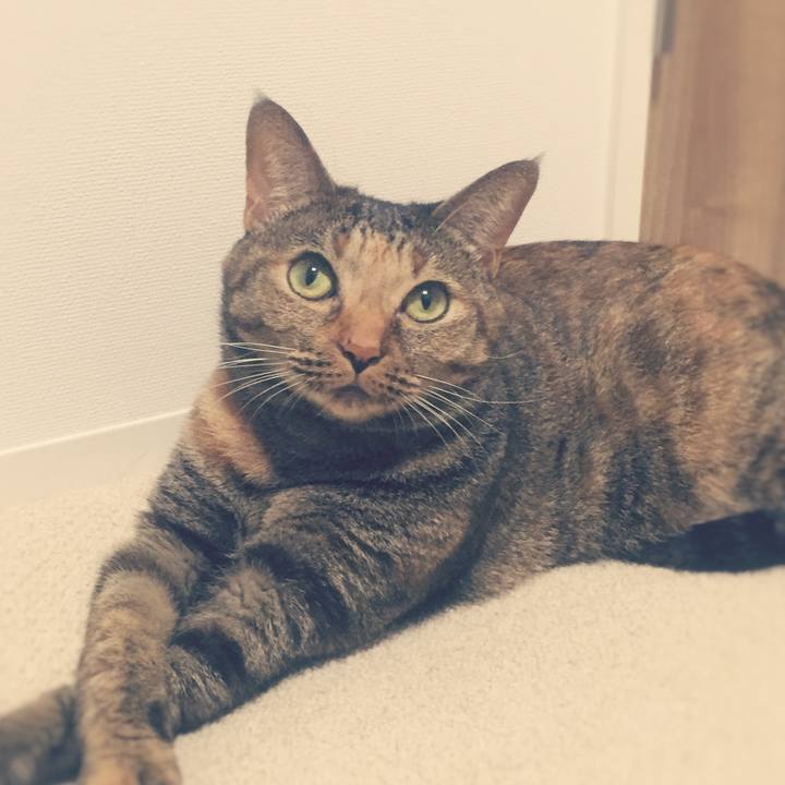 3fd40f5b 5258 4447 9e02 802cf87a7e75