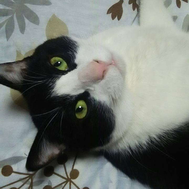 3fd4126f 9025 4607 a8b7 8c6131220e5b