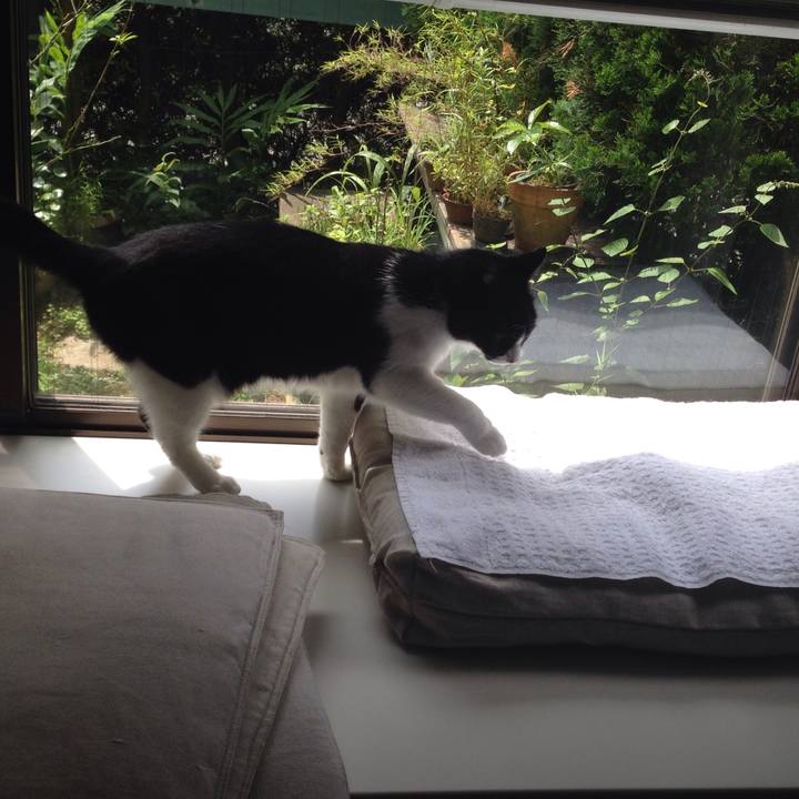 3fd4ecc0 d9ca 4564 98bd 0a67ed60edac