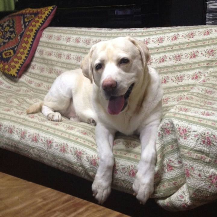 3fd4f17c 712c 43e5 b00d c20ed376d787