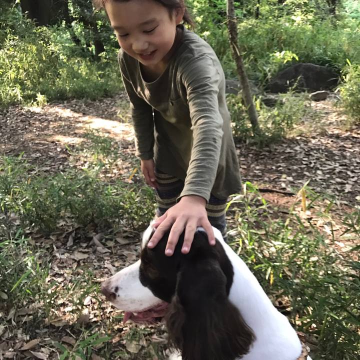 3fd6202d 5d99 414d 8d35 1f02bda3b58a