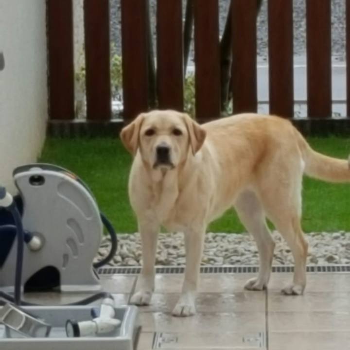 3fd63dff 1a85 4126 b956 3e6954f3913f