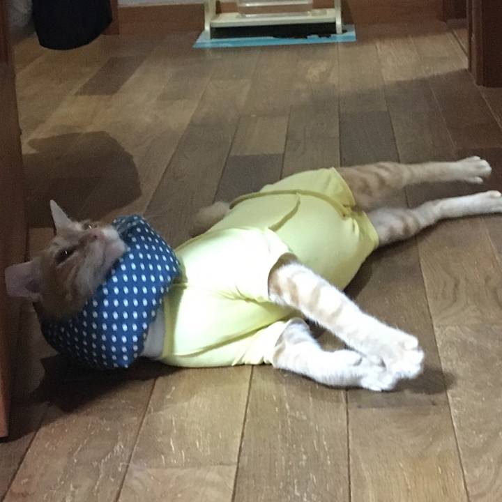 3fd6c9b8 94c6 4bfc a385 b7f89329307f