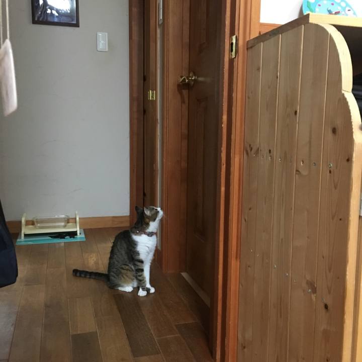 3fd72916 f297 43d8 9d6f 1aef3eeb8854