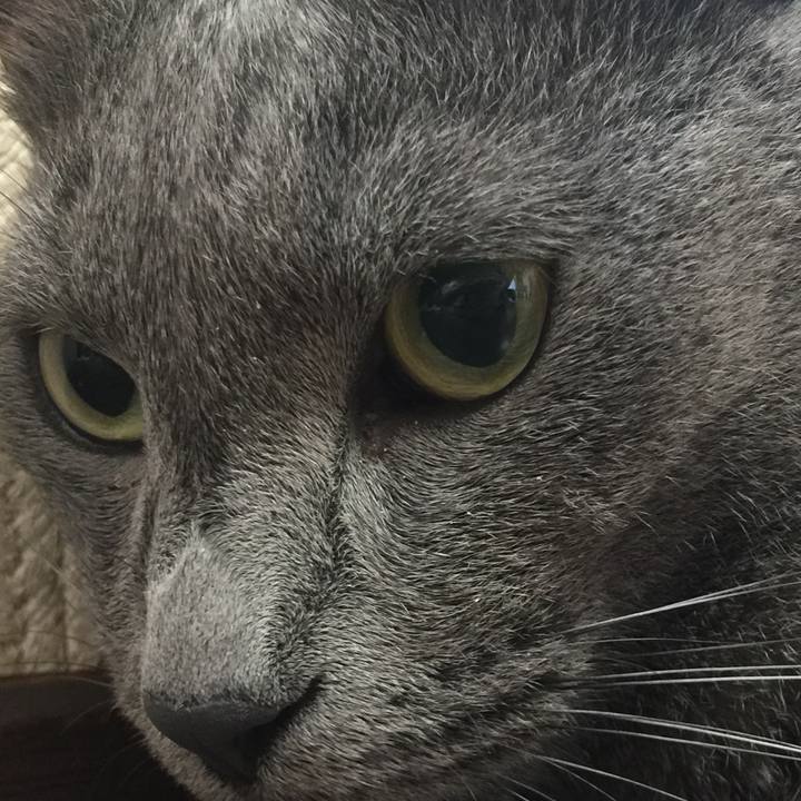 3fd788d6 0e13 4004 8e1e 20b0c1198471