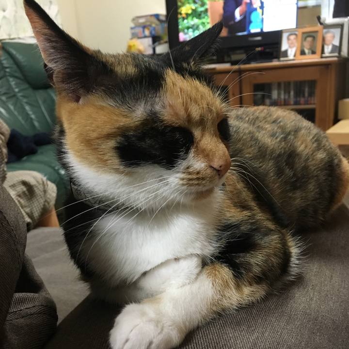 3fd79094 bdc8 43b4 abd9 e0cd3db63a8f