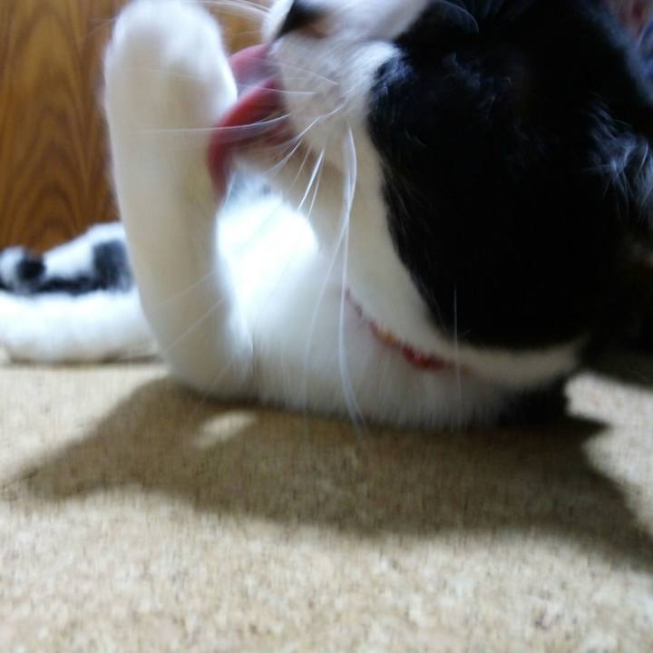 3fd7b0a9 14fa 403e b178 cfceae5955ab