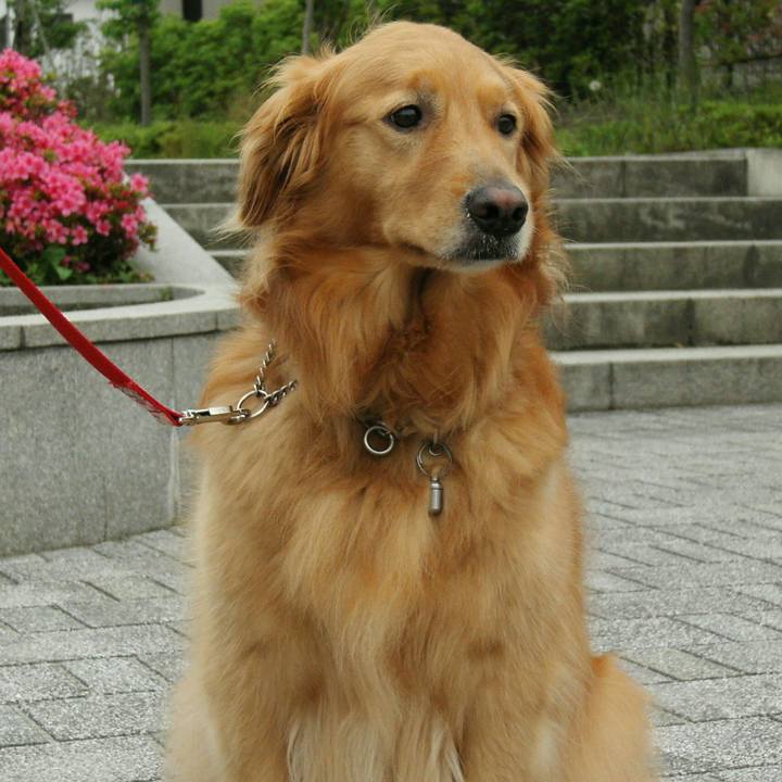 3fd7fdff 2763 43c9 bfff d001f77dec99